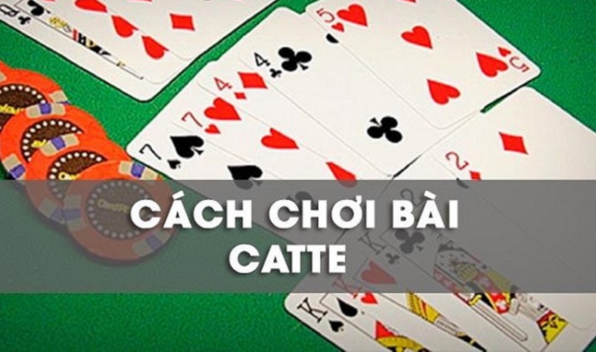 Hướng dẫn cách chơi bài Catte cho người mới bắt đầu