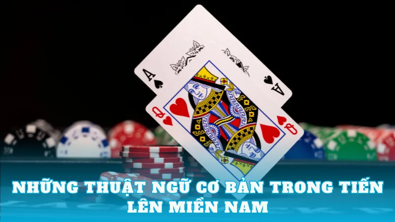 Nắm Trọn Cách Chơi Bài Tiến Lên Miền Nam Cực Hay Sau Đây