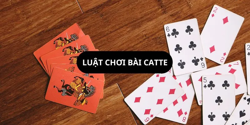 Catte là gì? Cách chơi Catte để chắc chắn chiến thắng